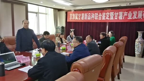 ׯ�к���Ϸ(�й�)�ɷ����޹�˾-����