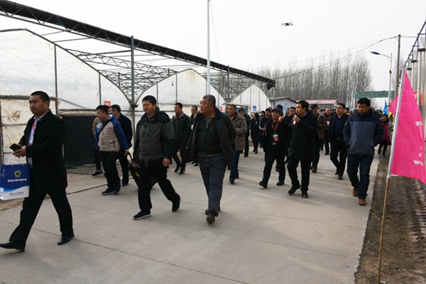 ׯ�к���Ϸ(�й�)�ɷ����޹�˾-����