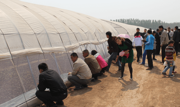 ׯ�к���Ϸ(�й�)�ɷ����޹�˾-����