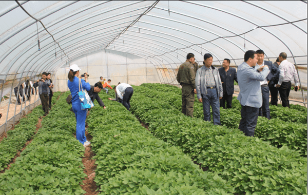 ׯ�к���Ϸ(�й�)�ɷ����޹�˾-����