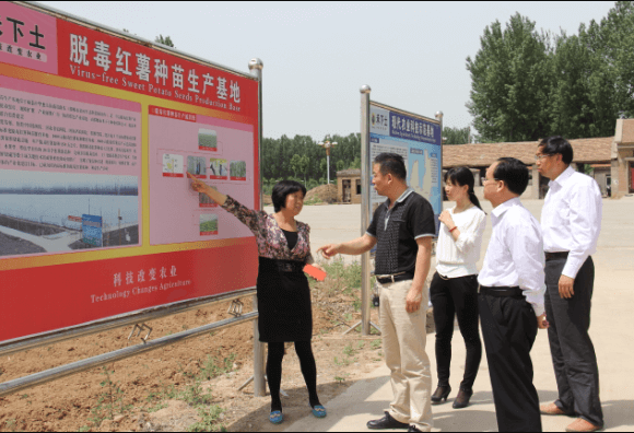 ׯ�к���Ϸ(�й�)�ɷ����޹�˾-����