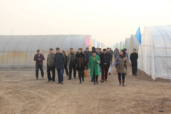 ׯÏкÍÓÎÏ·(Öйú)¹É·ÝÓÐÏÞ¹«Ë¾-¹ÙÍø