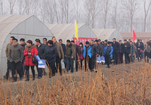 ׯ�к���Ϸ(�й�)�ɷ����޹�˾-����