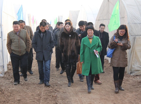 ׯ�к���Ϸ(�й�)�ɷ����޹�˾-����