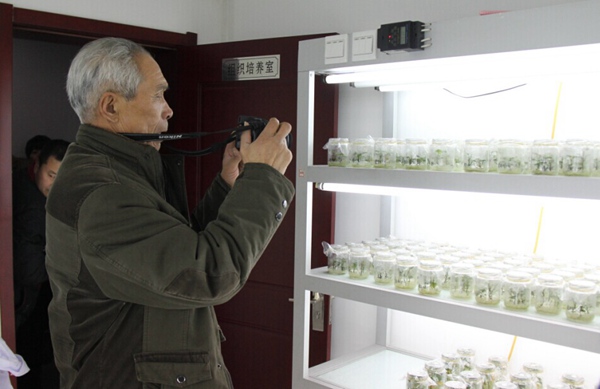 ׯ�к���Ϸ(�й�)�ɷ����޹�˾-����