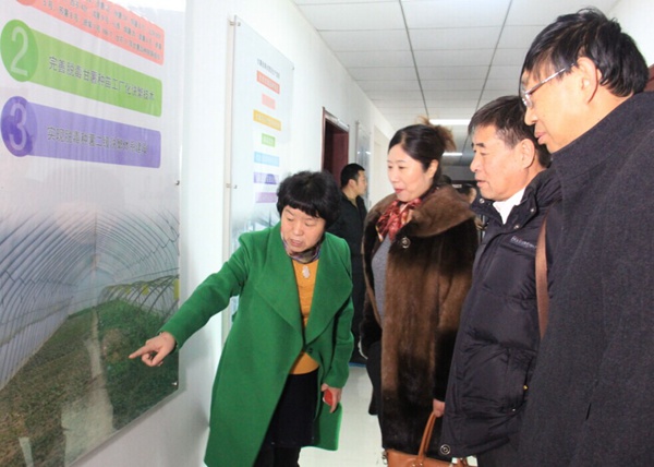 ׯ�к���Ϸ(�й�)�ɷ����޹�˾-����