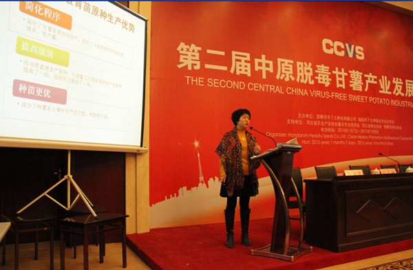 ׯ�к���Ϸ(�й�)�ɷ����޹�˾-����