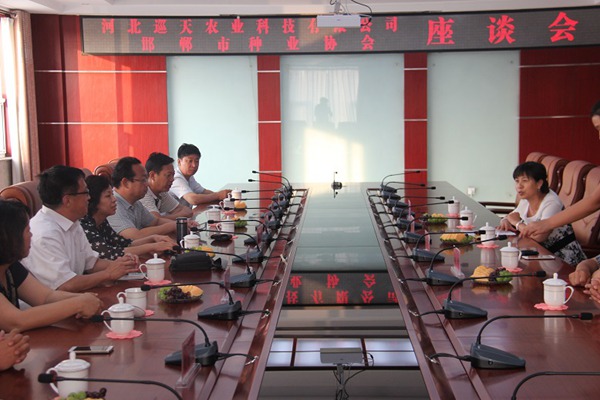 ׯ�к���Ϸ(�й�)�ɷ����޹�˾-����