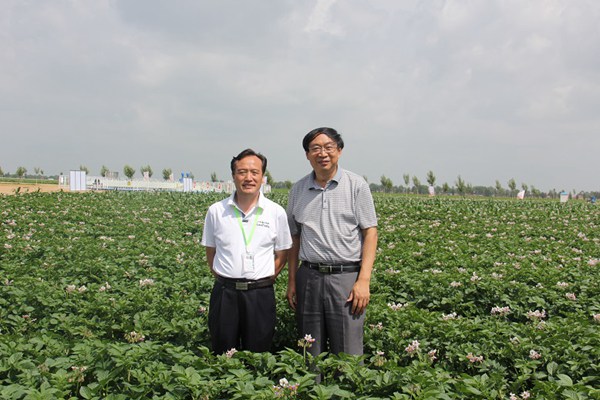 ׯ�к���Ϸ(�й�)�ɷ����޹�˾-����