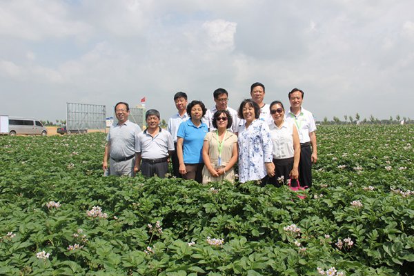 ׯ�к���Ϸ(�й�)�ɷ����޹�˾-����