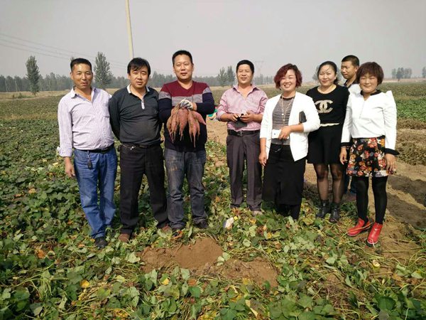 庄闲和游戏(中国)股份有限公司-官网