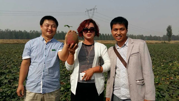 庄闲和游戏(中国)股份有限公司-官网