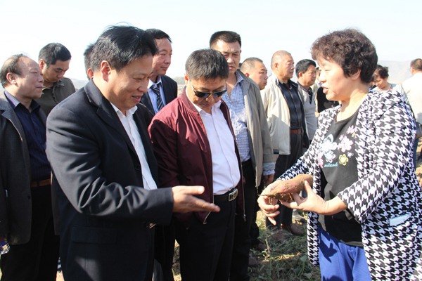 ׯ�к���Ϸ(�й�)�ɷ����޹�˾-����