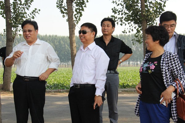 ׯ�к���Ϸ(�й�)�ɷ����޹�˾-����