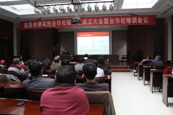 ׯ�к���Ϸ(�й�)�ɷ����޹�˾-����