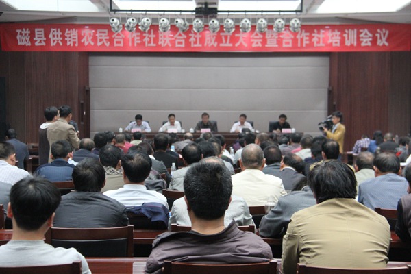 ׯ�к���Ϸ(�й�)�ɷ����޹�˾-����