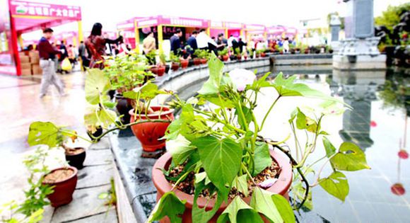 ׯ�к���Ϸ(�й�)�ɷ����޹�˾-����