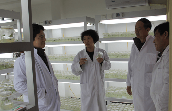 ׯ�к���Ϸ(�й�)�ɷ����޹�˾-����