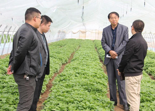 ׯ�к���Ϸ(�й�)�ɷ����޹�˾-����