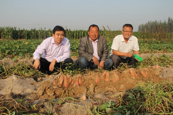 庄闲和游戏(中国)股份有限公司-官网