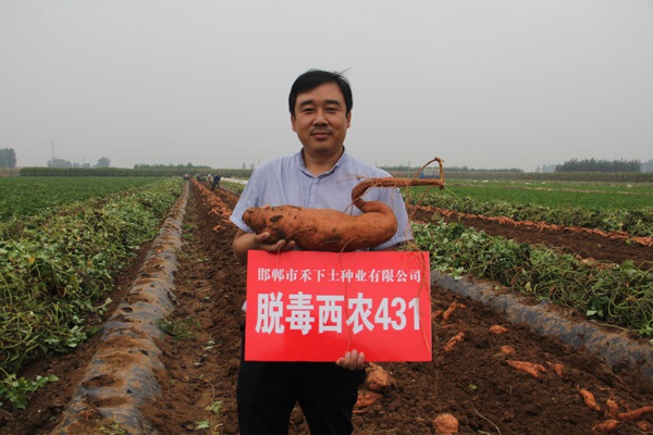 庄闲和游戏(中国)股份有限公司-官网