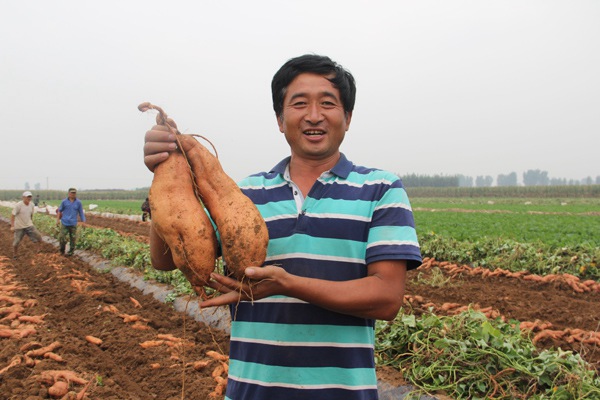 庄闲和游戏(中国)股份有限公司-官网