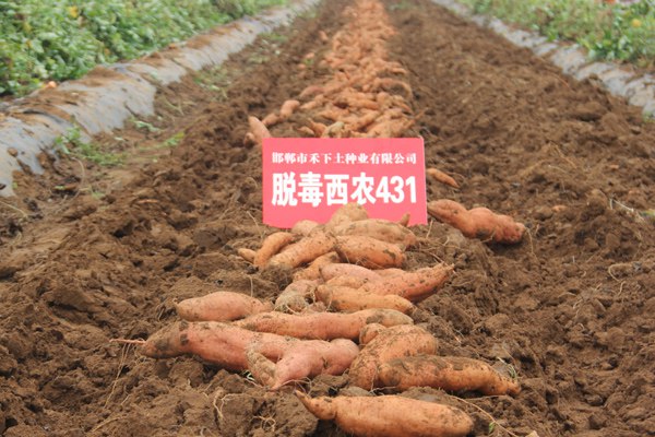 庄闲和游戏(中国)股份有限公司-官网