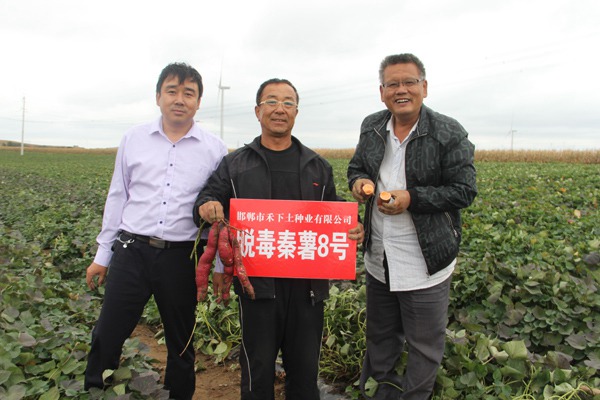 庄闲和游戏(中国)股份有限公司-官网