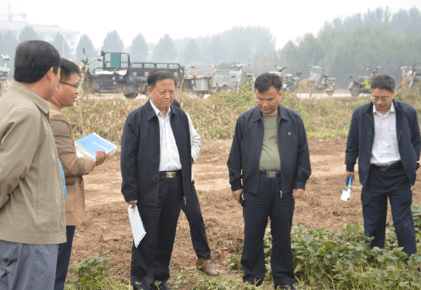 ׯ�к���Ϸ(�й�)�ɷ����޹�˾-����