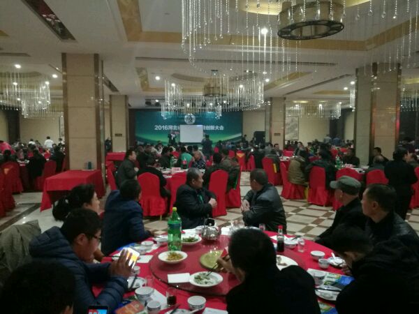 ׯ�к���Ϸ(�й�)�ɷ����޹�˾-����