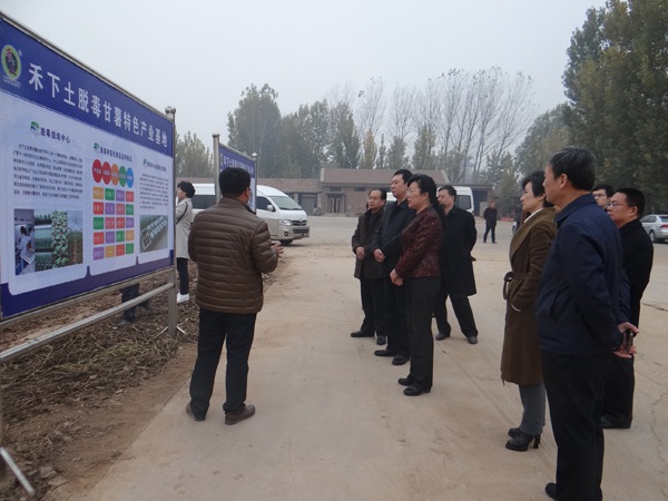 ׯ�к���Ϸ(�й�)�ɷ����޹�˾-����