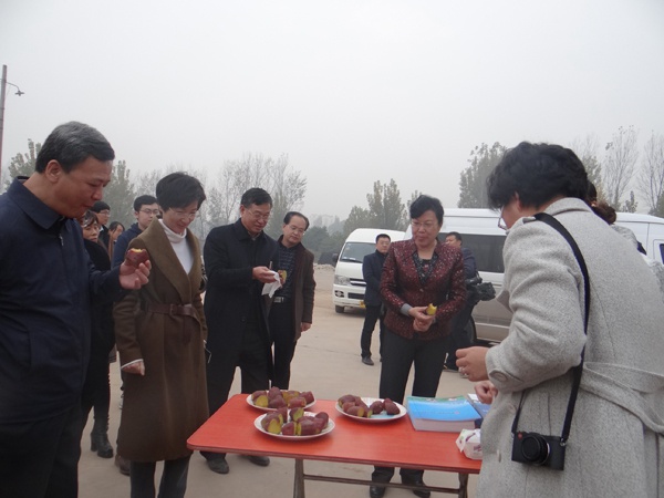 ׯ�к���Ϸ(�й�)�ɷ����޹�˾-����