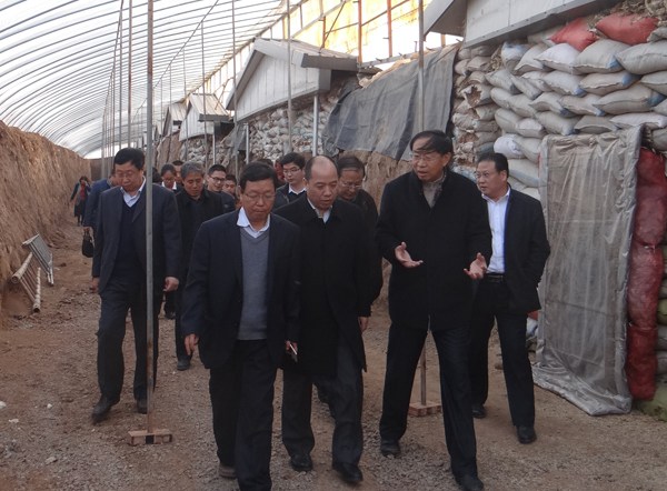 ׯ�к���Ϸ(�й�)�ɷ����޹�˾-����