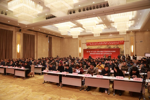 ׯ�к���Ϸ(�й�)�ɷ����޹�˾-����