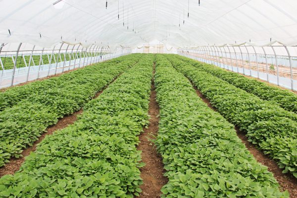 ׯ�к���Ϸ(�й�)�ɷ����޹�˾-����