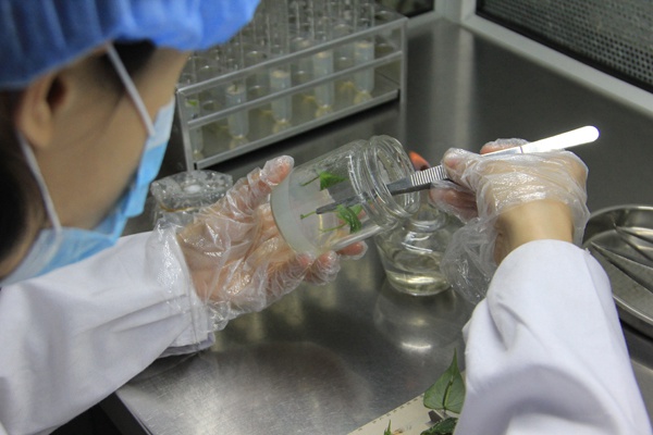 ׯ�к���Ϸ(�й�)�ɷ����޹�˾-����