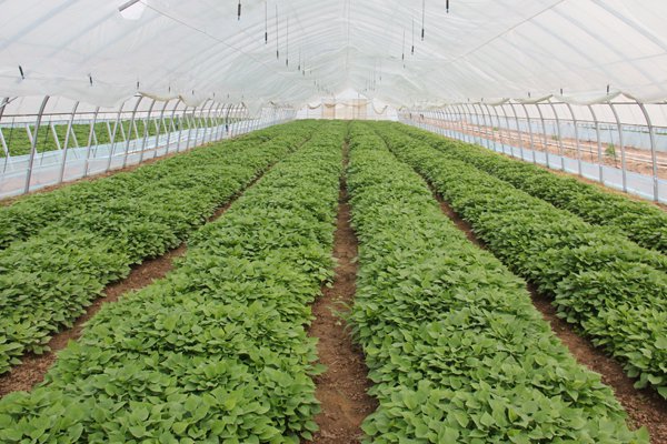 庄闲和游戏(中国)股份有限公司-官网