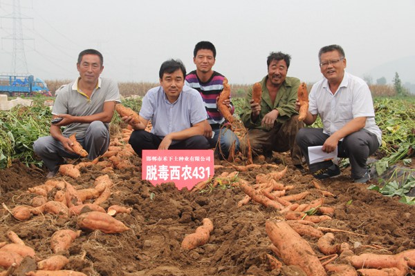 庄闲和游戏(中国)股份有限公司-官网