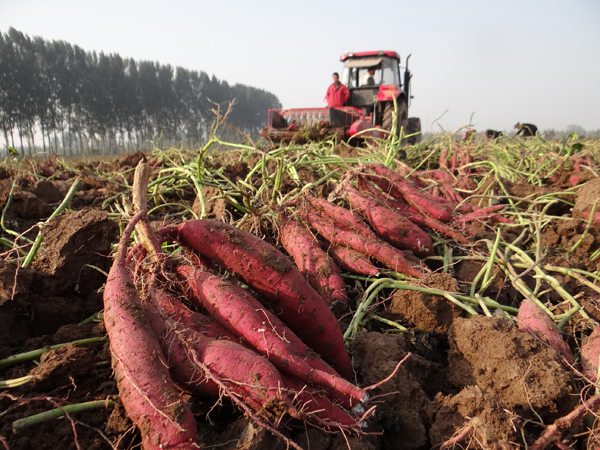 庄闲和游戏(中国)股份有限公司-官网