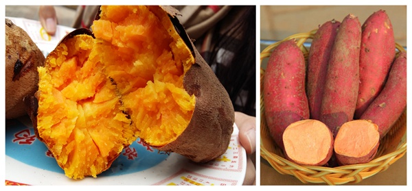 秦薯8号 庄闲和游戏(中国)股份有限公司-官网