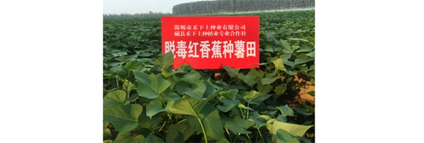 ׯ�к���Ϸ(�й�)�ɷ����޹�˾-����