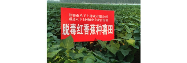 ׯ�к���Ϸ(�й�)�ɷ����޹�˾-����