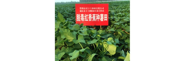 ׯ�к���Ϸ(�й�)�ɷ����޹�˾-����