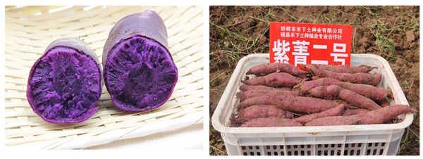 ׯ�к���Ϸ(�й�)�ɷ����޹�˾-����