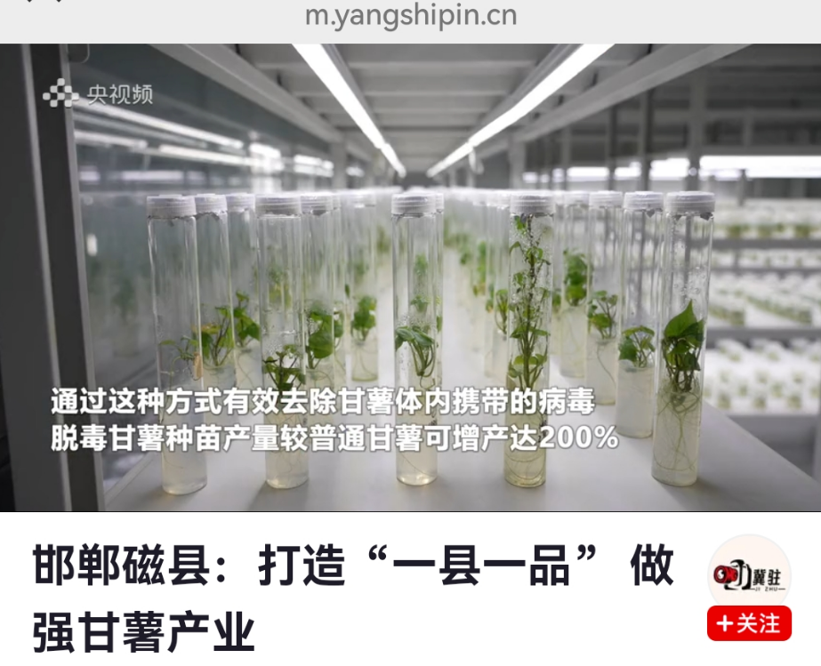 QQ浏览器截图20250322110311.png