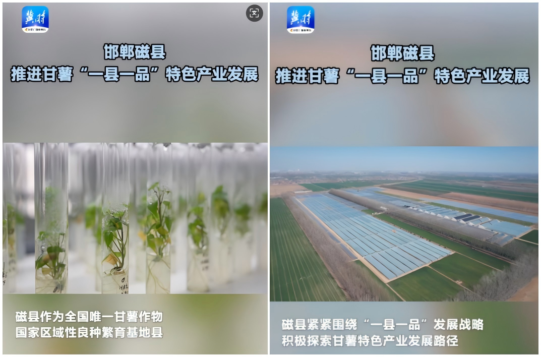 WPS拼图0.png
